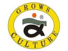 Grows Culture