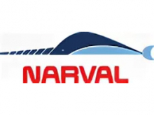 Narval