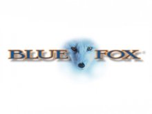 Blue Fox