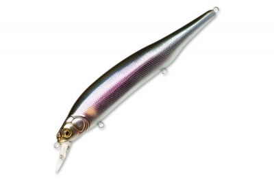Megabass Ito Shiner