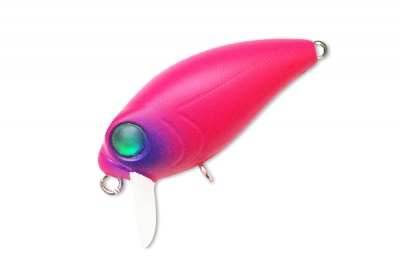 Kosadaka Roger Surf