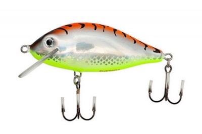 Chimera Karas 70FL