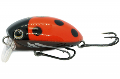 Kosadaka May-Beetle 35F