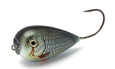 Bumble Lure Popper P-7